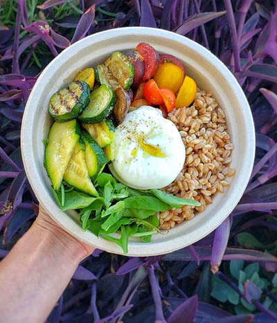 burrata-house