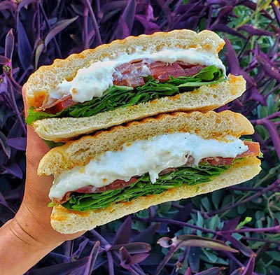 burrata-house