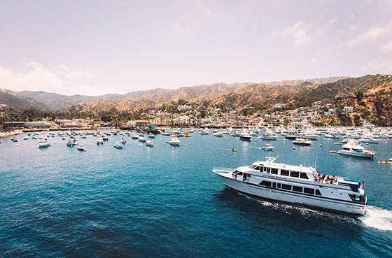 catalina-island-whats-new
