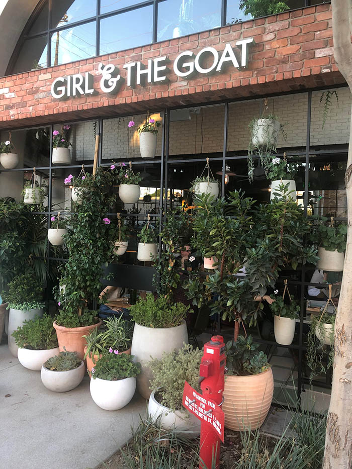 girl-and-the-goat