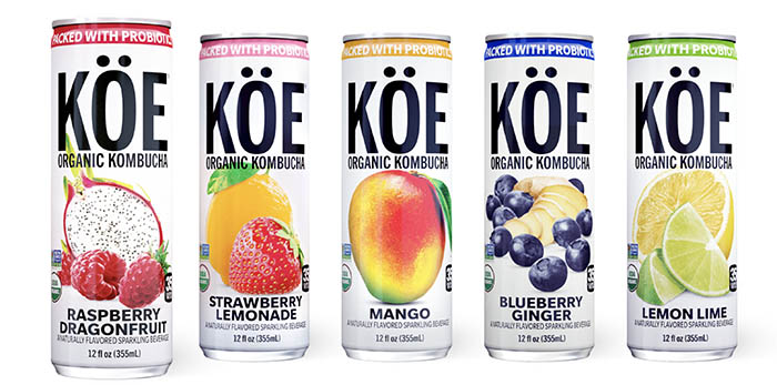 koe-solid-organic-kombucha