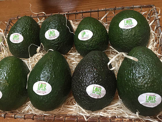 avocado-walking-tour-la
