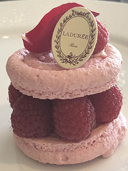 the-allbright-west-hollywood