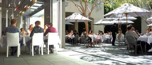 ammo-hamner-westwood-village
