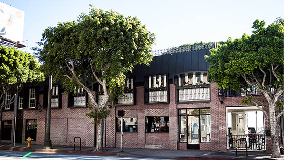 south-side-fried-chicken