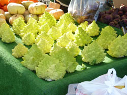 michael's-market-santa-monica