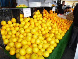 michael's-market-santa-monica