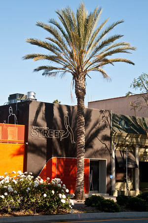susan feniger celebrity chef