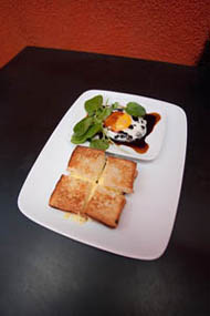 susan feniger celebrity chef