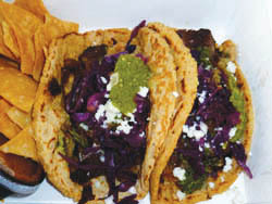 tinga-la-dine-review