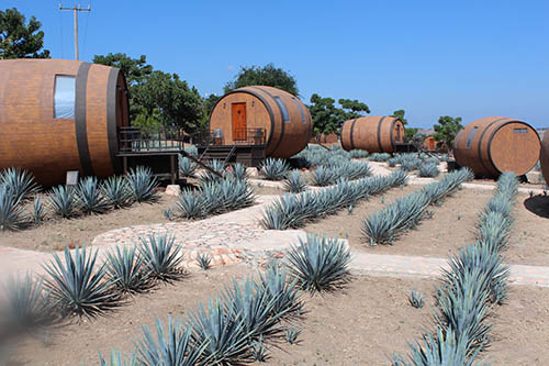 casa-noble-tquila