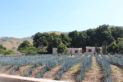 casa-noble-tquila