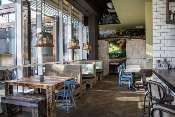 elovate-vegan-dine-review