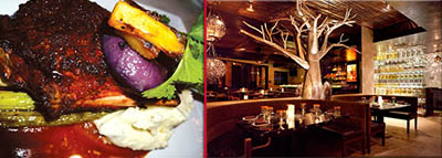 tortilla-republic-dine-review