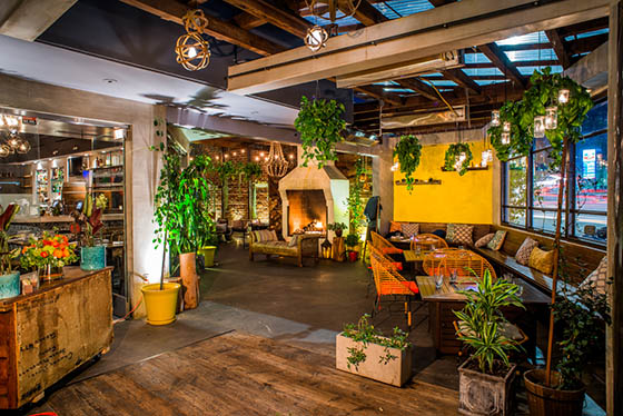 madera-kitchen-hollywood