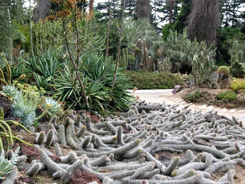 huntington-library-visit-today