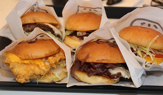 rock-house-sliders