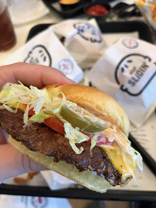 rock-house-sliders