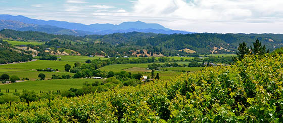 sonoma-wine-country-travel-story