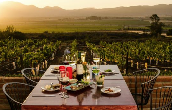 wine-pairing-202